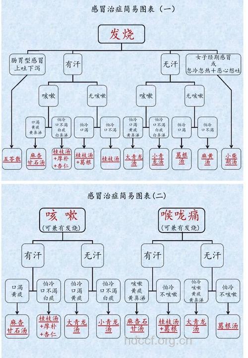 感冒分不同治疗也不同