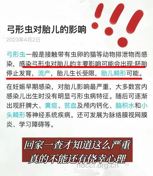 孕期弓形虫感染对孕妇和宝宝有哪些危害