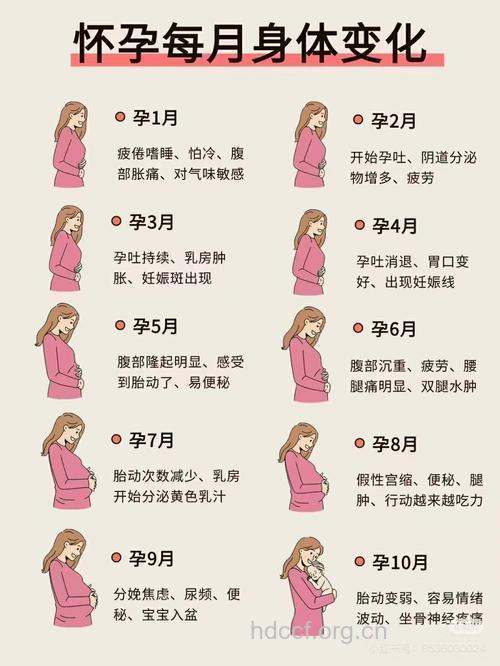 成为一个优秀的孕妈 需要达到哪些标准?