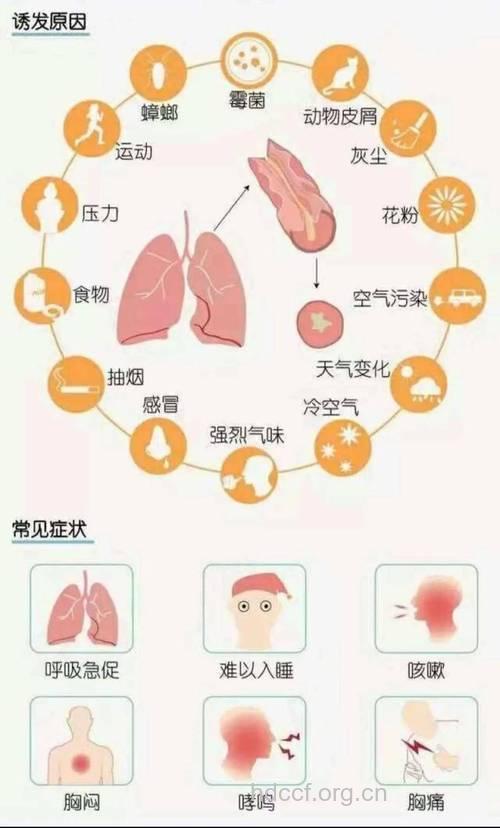 空气污染是哮喘的诱因