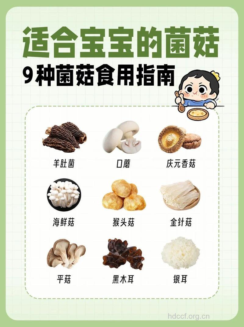 小孩常吃香菇可预防感冒