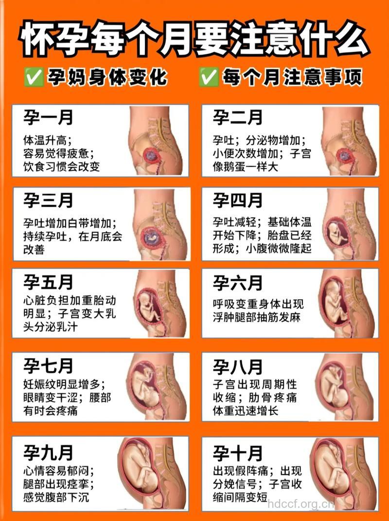 胎儿发育的好不好 看孕妈3个表现就知道