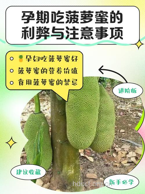 怀孕妇能吃菠萝蜜吗