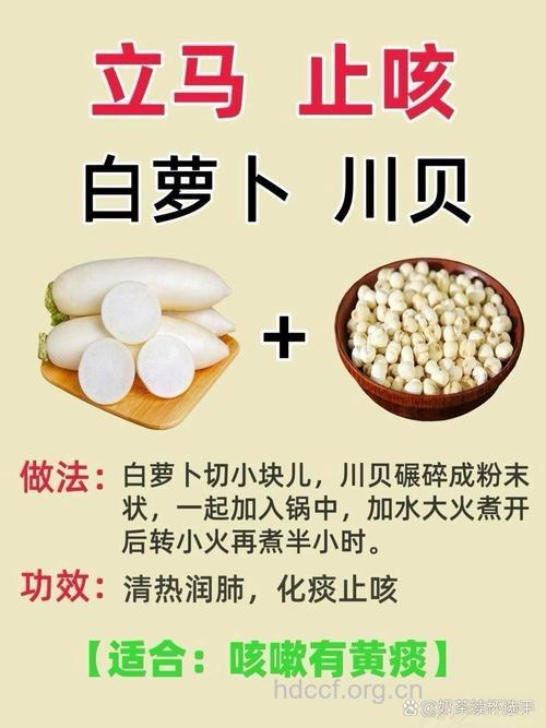 小儿止咳不妨试试白萝卜