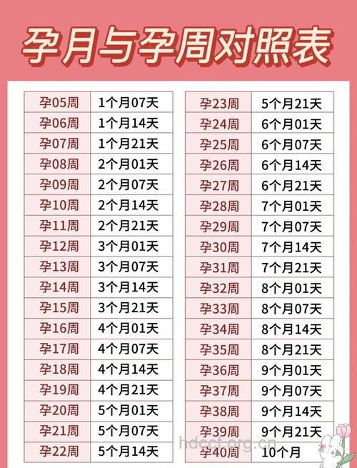 预产期的计算 如何计算预产期最准确