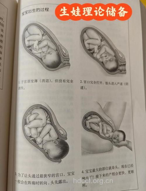 分娩时宫口张开是咋回事
