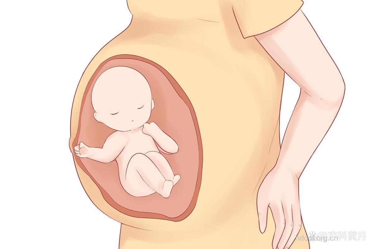 产妇个子小会生产无力吗