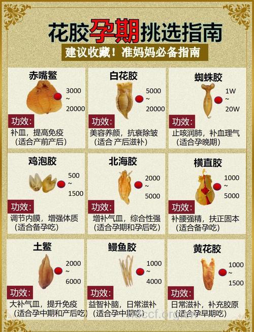 孕妇怀孕期间可以吃鱼鳔吗