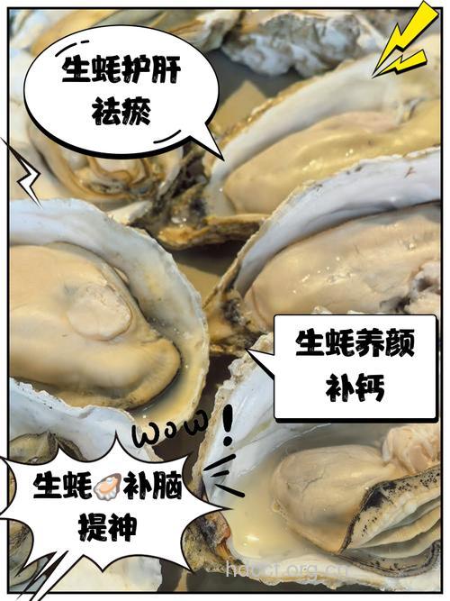 孕妇能吃生蚝吗