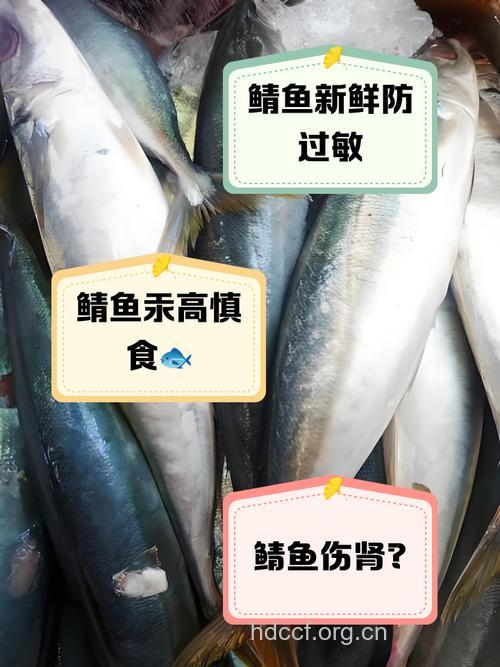 孕妇能吃鲭鱼王吗