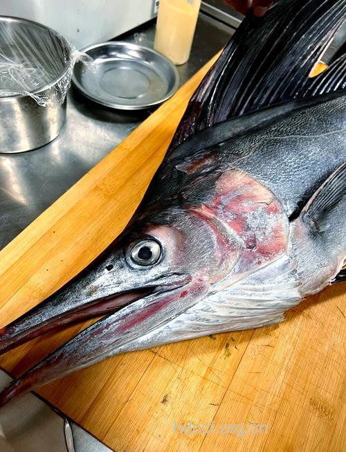 孕妇能吃旗鱼吗