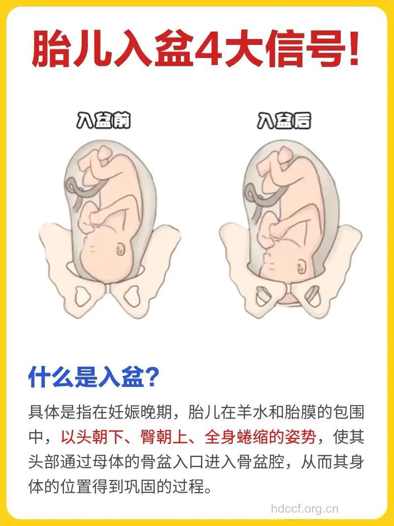 胎儿一般什么时候入盆