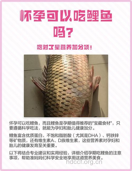 怀孕孕妇可以吃鲤鱼吗