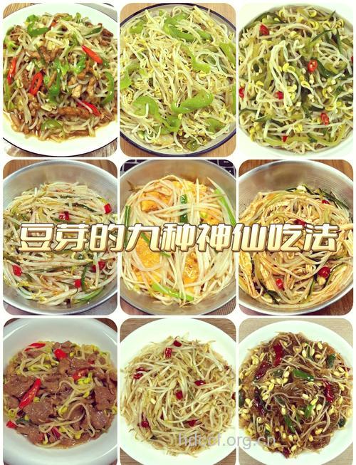 孕妇食谱之麻香豆芽掐菜的做法