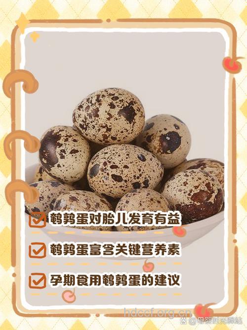 怀孕时吃鹌鹑蛋能代替鸡蛋吗