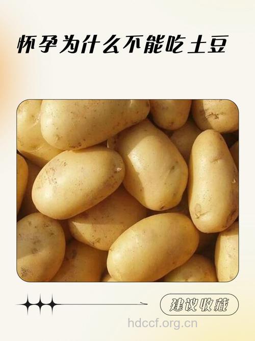 怀孕期间为什么要少吃土豆