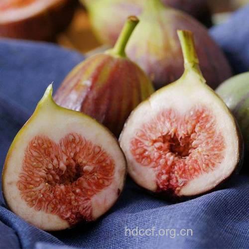 怀孕两个月孕妇吃什么