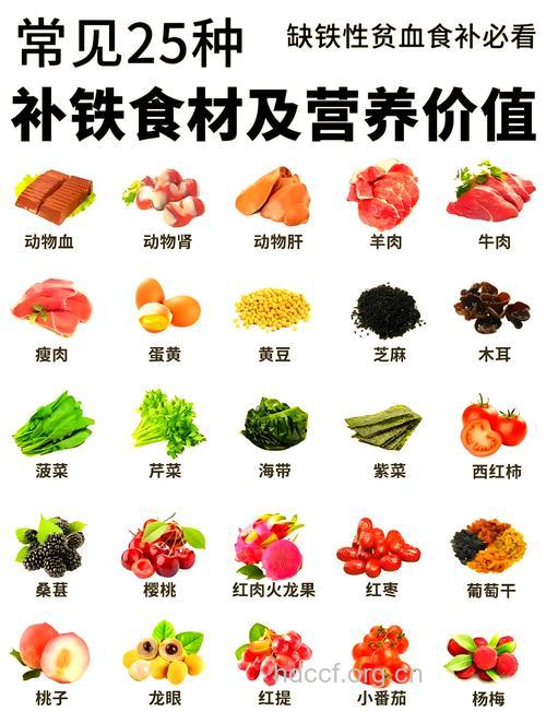 孕妇缺铁性贫血吃什么好