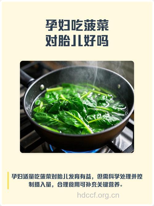 孕期吃菠菜好吗
