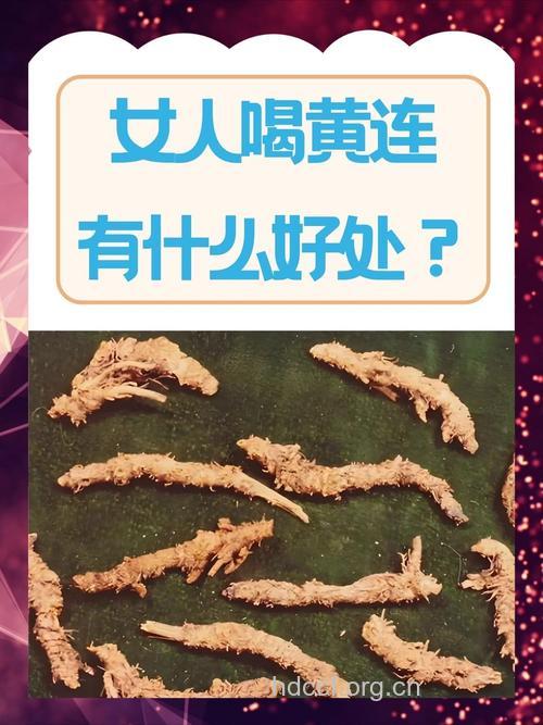 孕妇吃黄连人参药酒能养胎吗