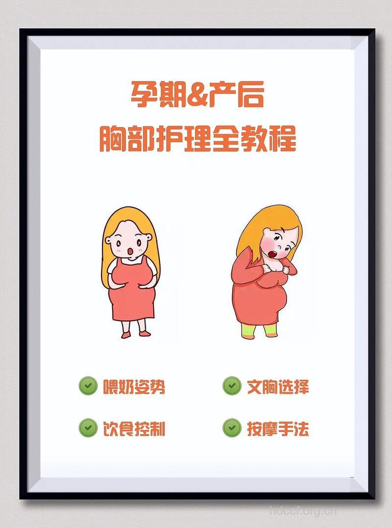 孕期乳房护理 抓住4个关键点