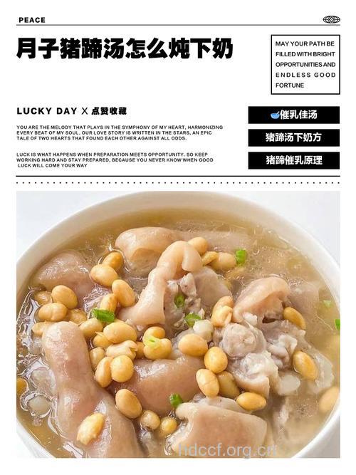 下奶汤之猪蹄汤的做法大全