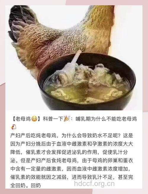 产后别急着喝母鸡汤 否则会没奶