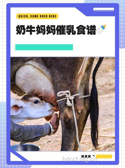 产后奶水少莫急 吃它们让你轻松变奶牛