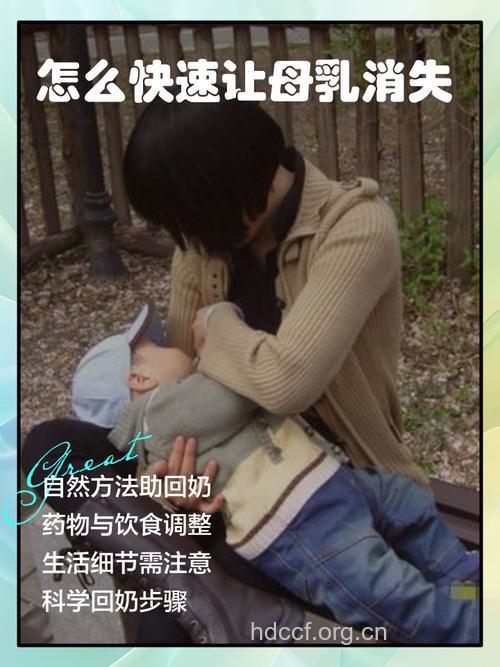 回奶时涨奶厉害 可以挤奶吗