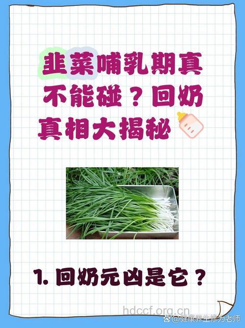 韭菜回乳吗 哺乳妈妈能吃韭菜吗