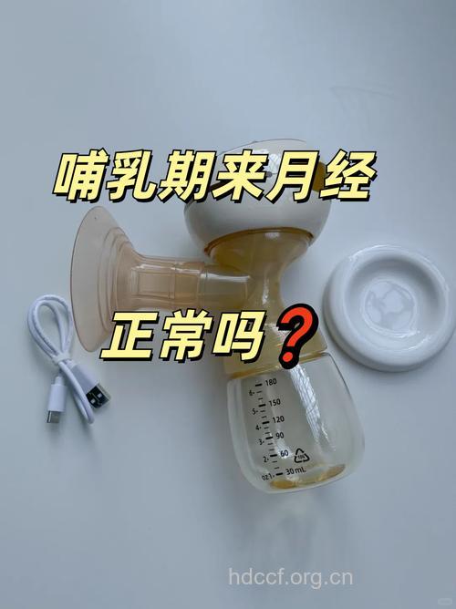 母乳喂养遇上月经 正常吗