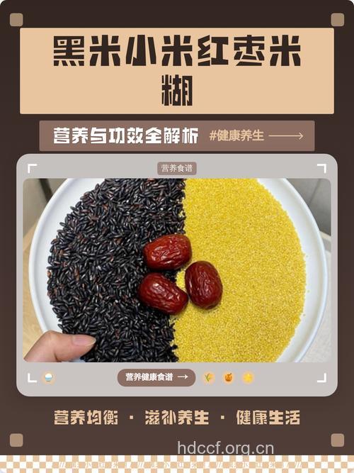 贝因美3段黑米红枣营养米粉评测