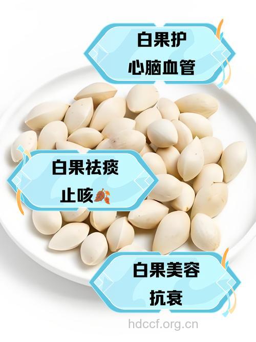 生理期能吃白果吗?