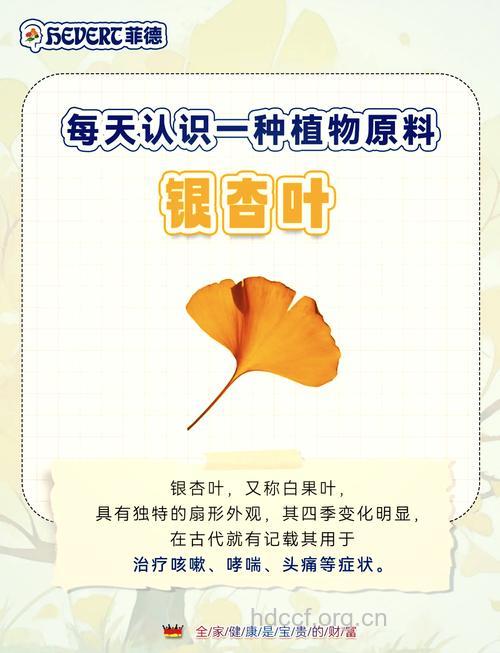 生理期能吃银杏叶吗？