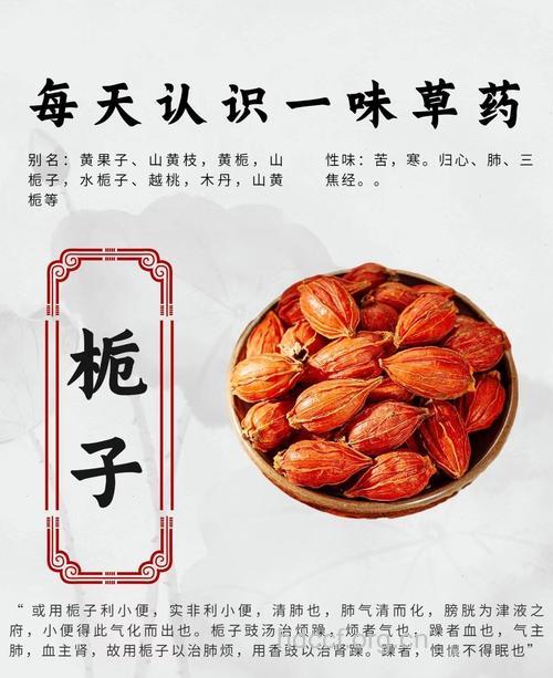 生理期能吃栀子吗？