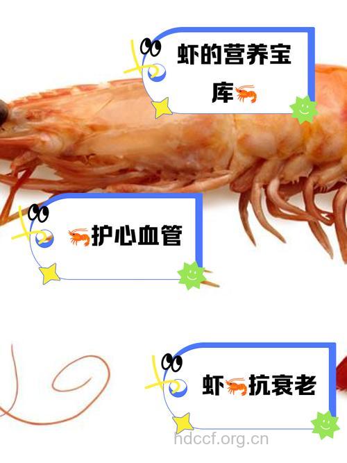 月经期间能吃虾吗 虾的保健功效
