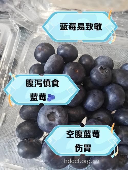 来例假能吃蓝莓吗?