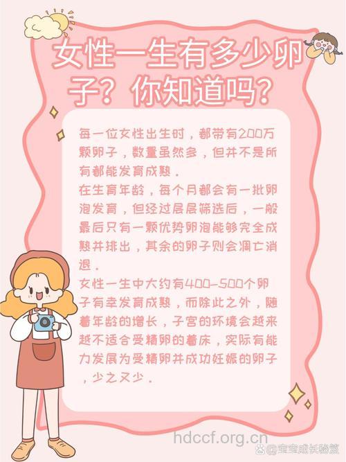 女人一生排多少卵子