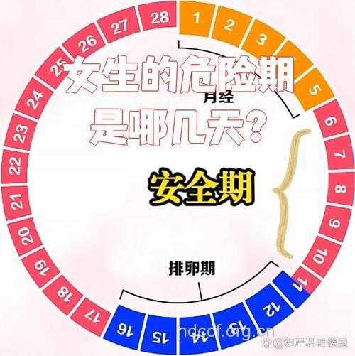 危险期是哪几天