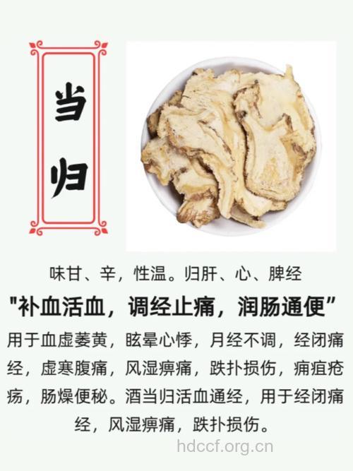 来例假能吃当归吗？