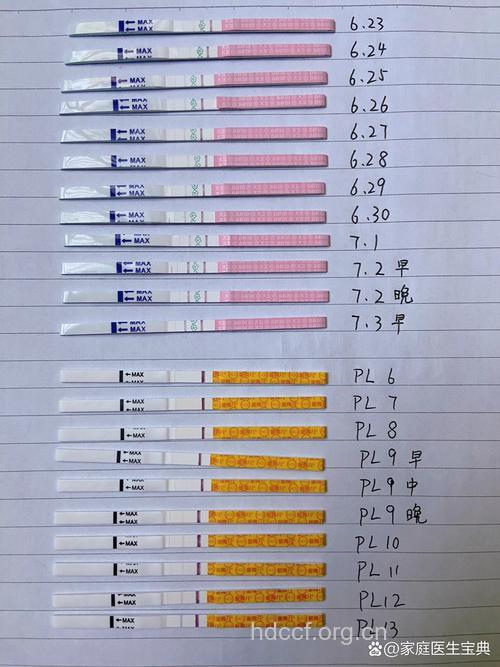 排卵试纸测早孕
