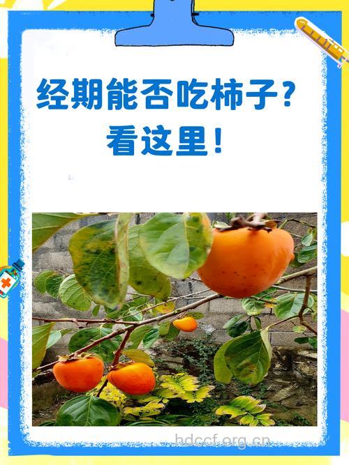 来例假能吃柿子吗？