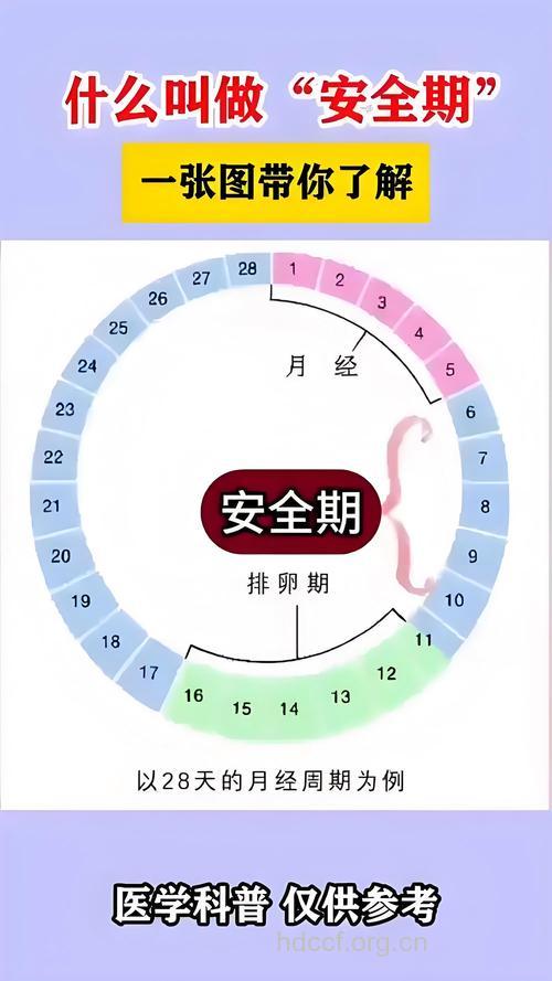 安全期怎么算 什么是安全期和危险期