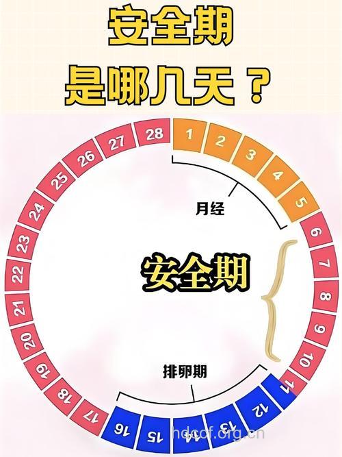 到底什么是安全期避孕