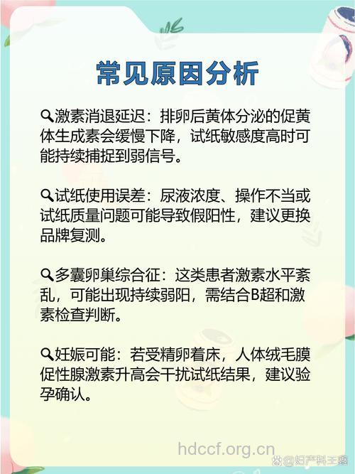 排卵试纸弱阳后多久排卵 一直弱阳怎么回事