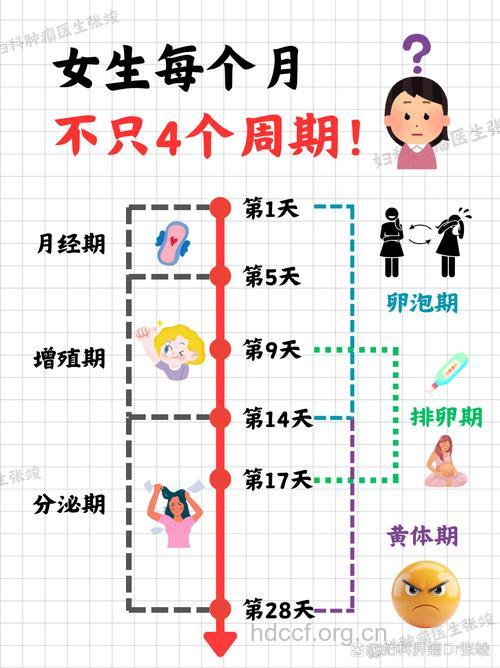 身体出现6种变化 说明排卵期到了