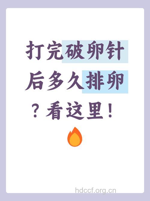 女性打排卵针后多久会排卵