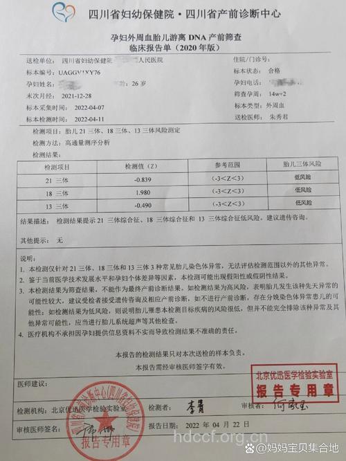 无创DNA