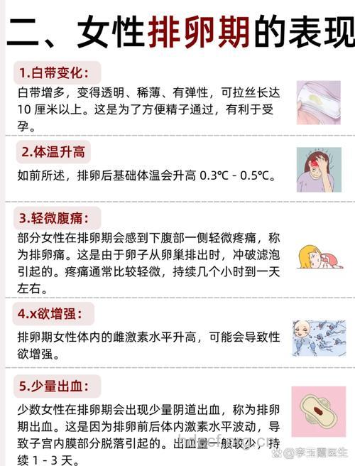 女性排卵期有什么特征