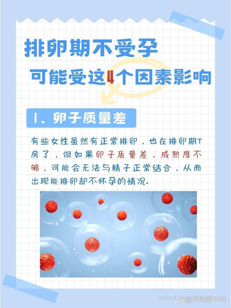 排卵期不受孕的原因有哪些